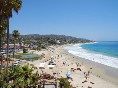 the beach at Laguna Beach on a sunny day