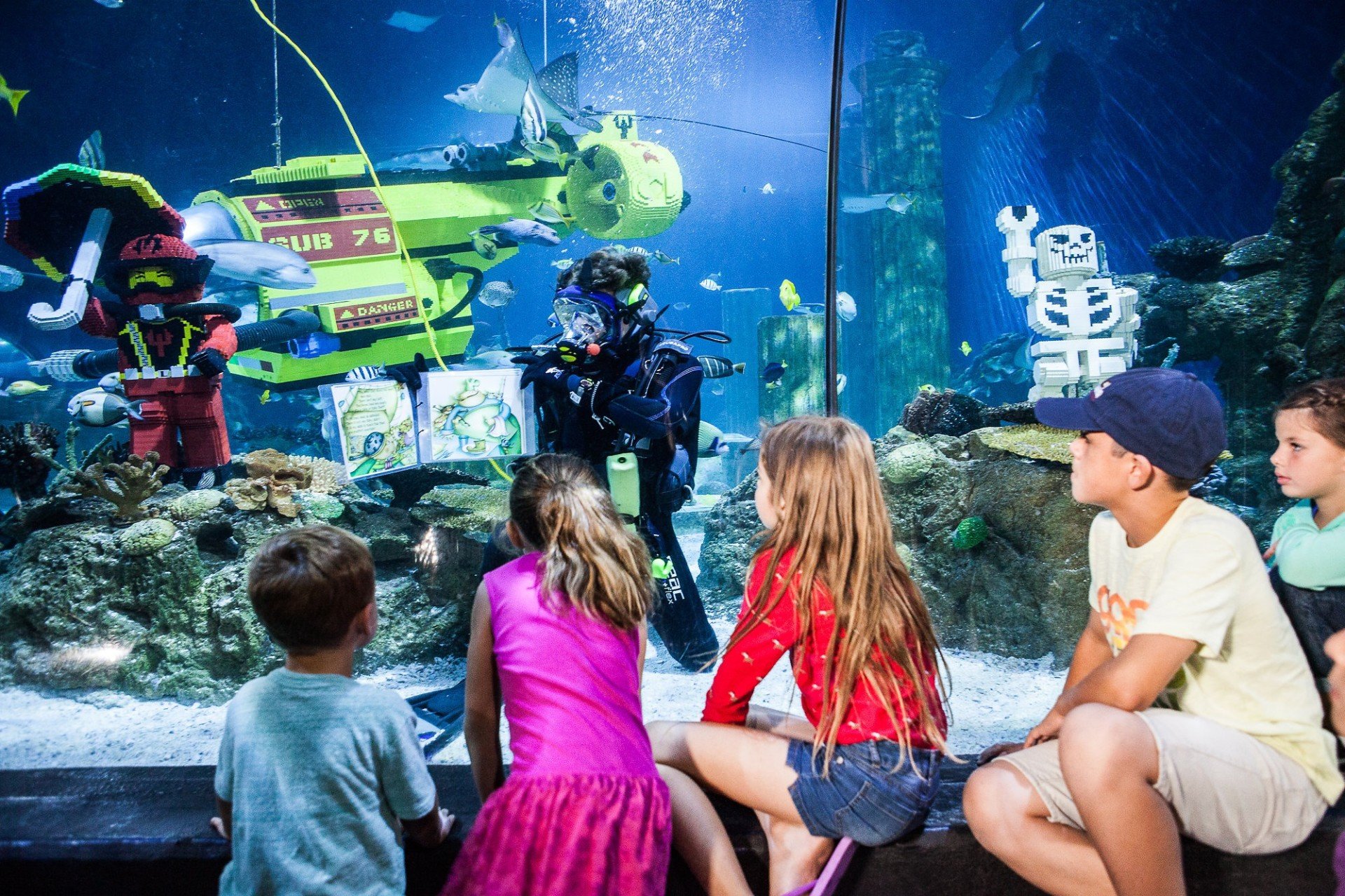 Kids look in an aquarium tank at SEA LIFE Aquarium.