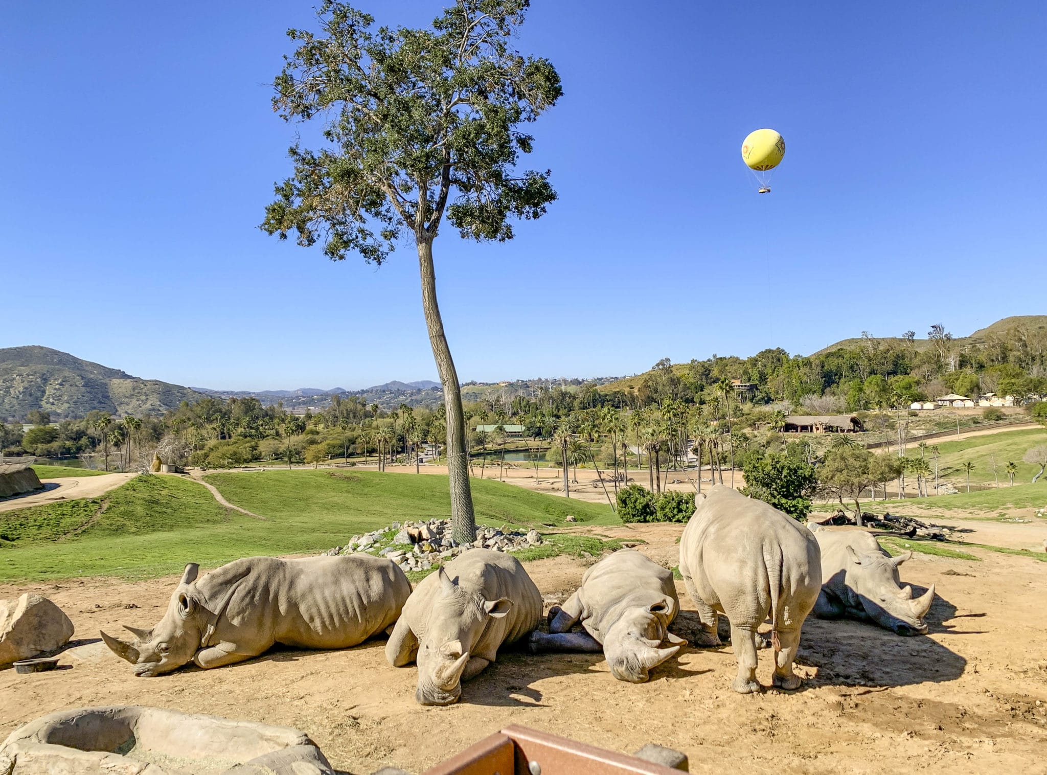 safari zoo