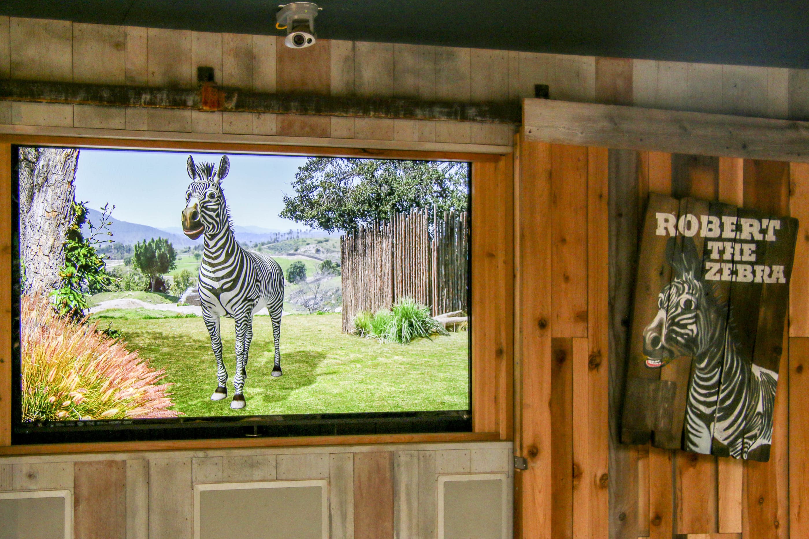 Robert the cartoon zebra on a TV screen is powered by a real human.