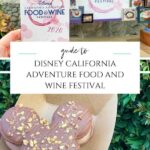 What it's like to attend the Disney California Adventure Food and Wine Festival including what to eat and tips for maximizing your day.