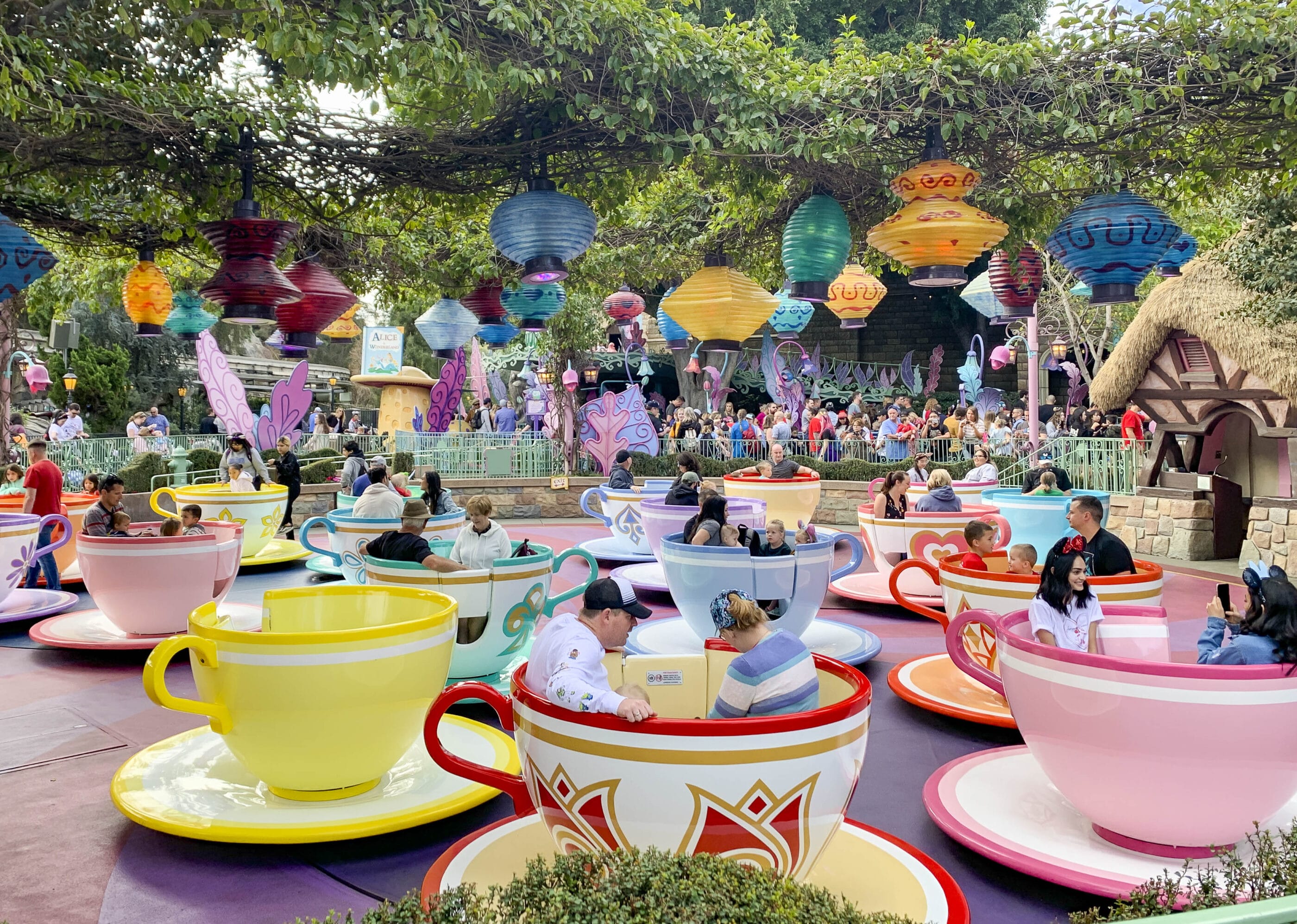 Guests spin in the teacups on the Mad Tea Party ride at Disneyland