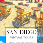 Enhance your visit or learn something new about where you live with cool San Diego virtual tours, shows, cams, and activities that can be enjoyed at home.