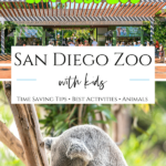 I'm a member and a mom with many tips for maximizing a day at San Diego Zoo for kids and toddlers while keeping parents sane and seeing the popular animals.