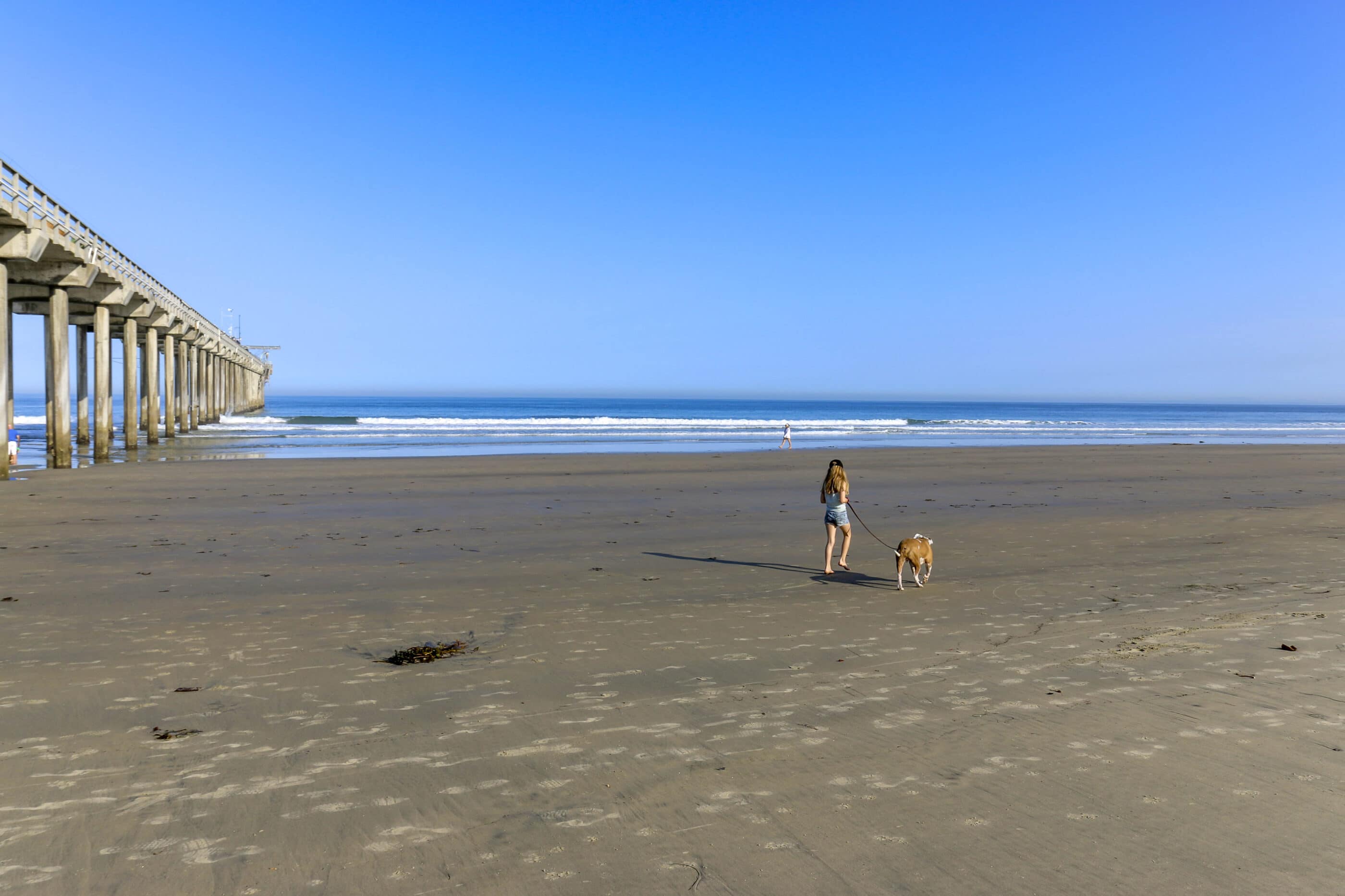 My daughter walks our dog on La Jolla Shores Beach, one of the best La Jolla beaches for kids.