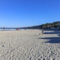 A morning dog walk on La Jolla Shores Beach.