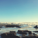 Learn the history, location, tips for visiting and fun facts about the SS Monte Carlo ship, the Coronado shipweck that appears at low tides.