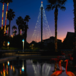Fun things to do at SeaWorld San Diego's Christmas Celebration this year include NEW activities mixed with returning favorites like Santa, Rudolph, and Elmo.