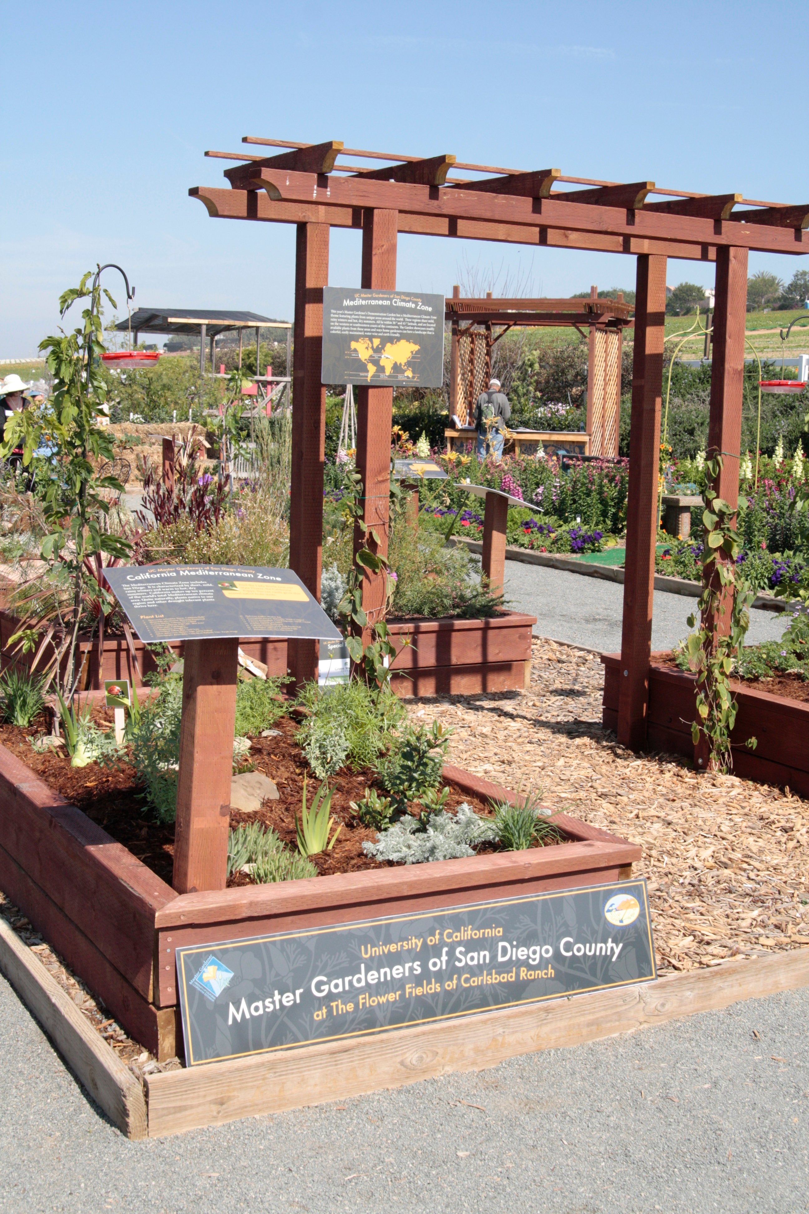 Raised garden beds put together by Master Gardeners of San Diego County.