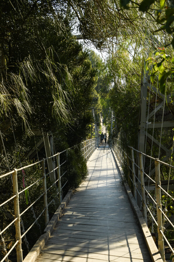 People walk across Spruce Street Suspension Bridge