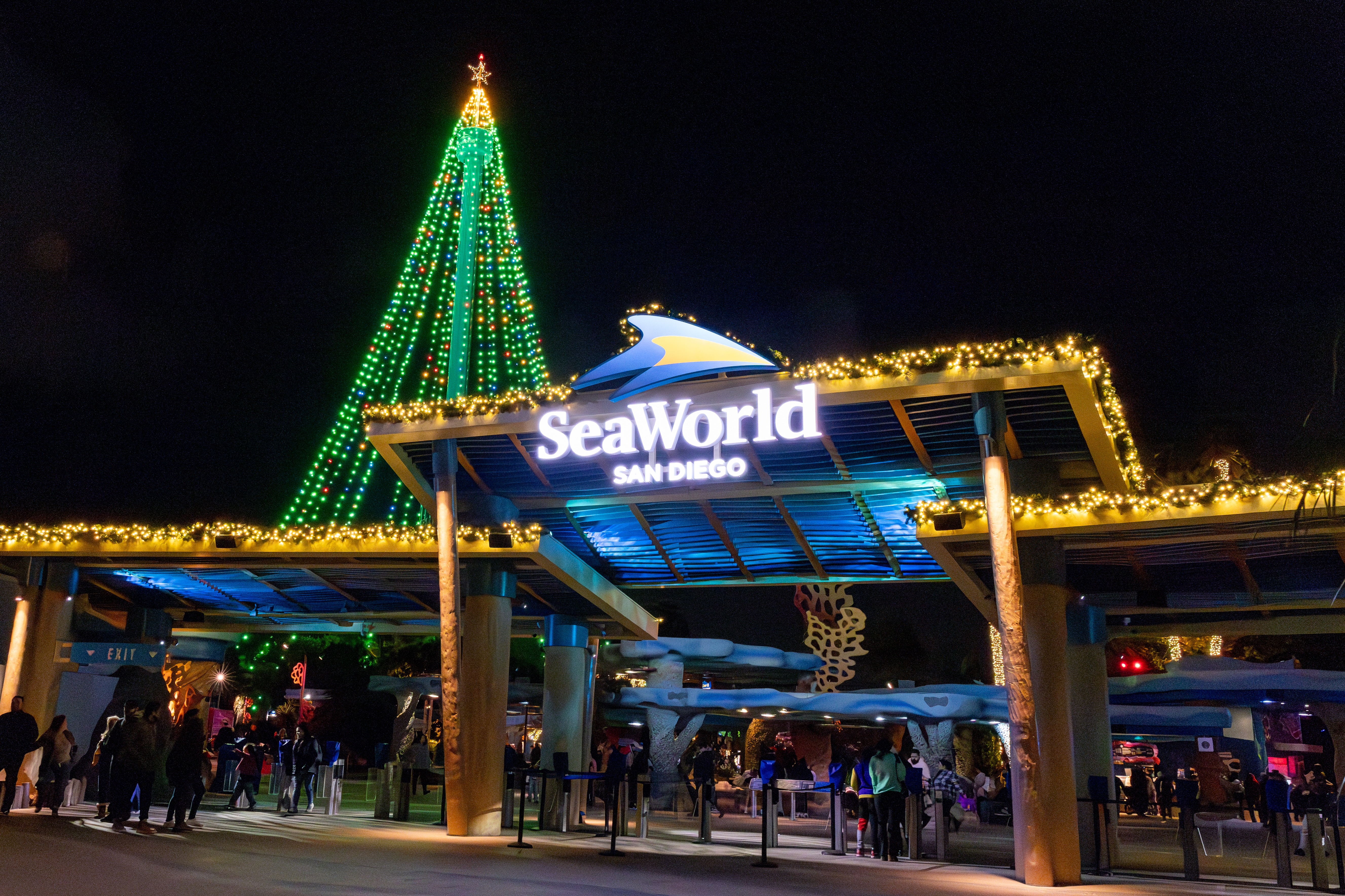 Christmas_Lights_Entrance in Seaworld San Diego