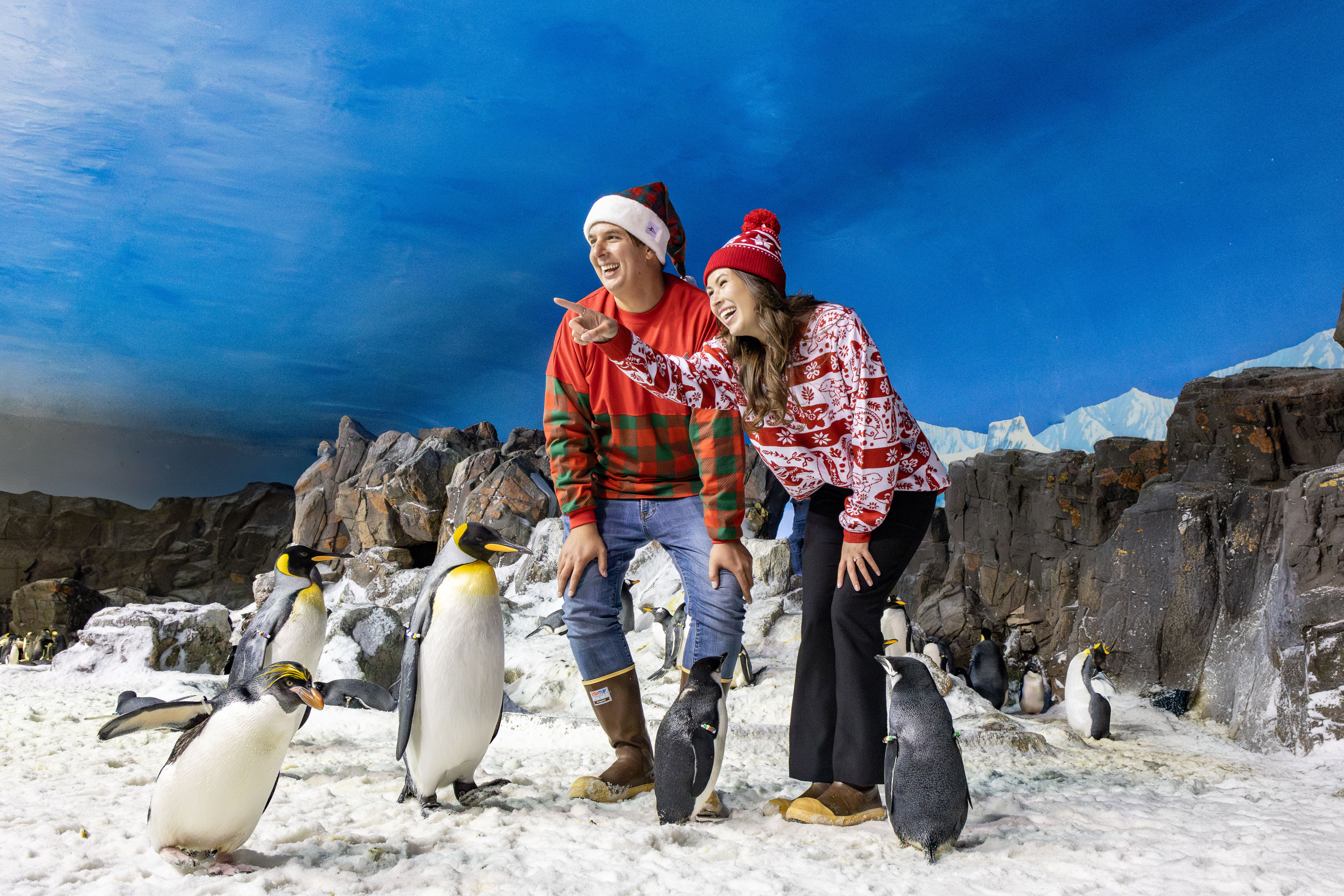 Man and woman with penguins in Seaworld San Diego