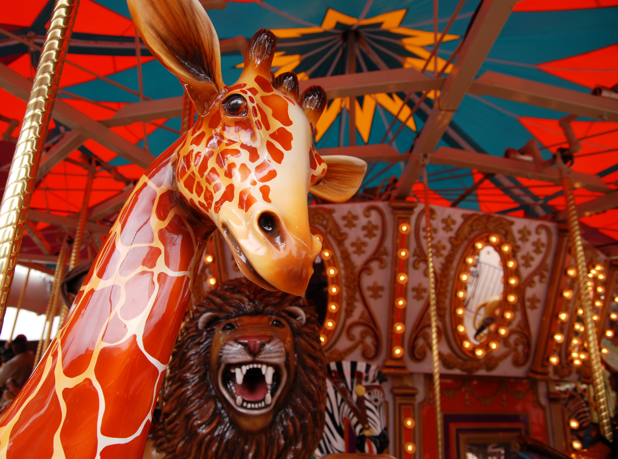A close-up of carousel animals at Phoenix Zoo.