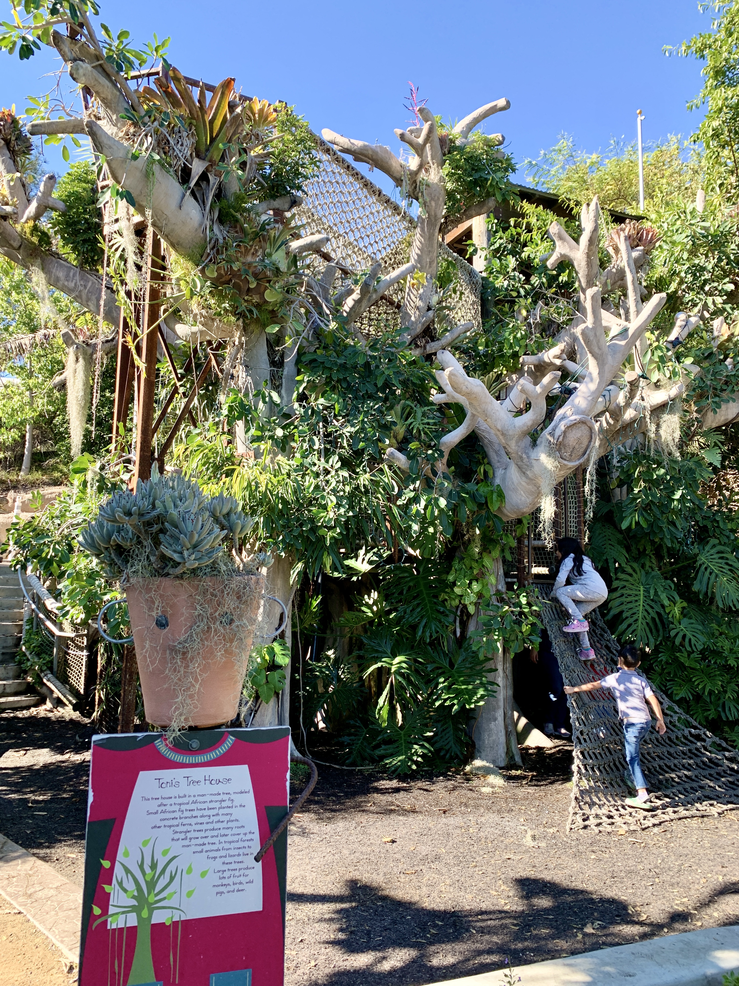 Two kids climb into the Tree House in the Hamilton Children's Garden.