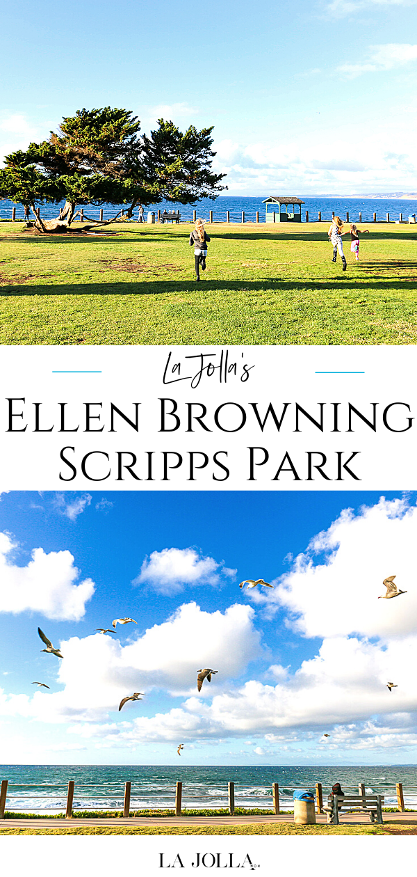 Scripps Ranch Parks Ellen Browning Scripps Park: History, Things To Do, & More - La Jolla Mom