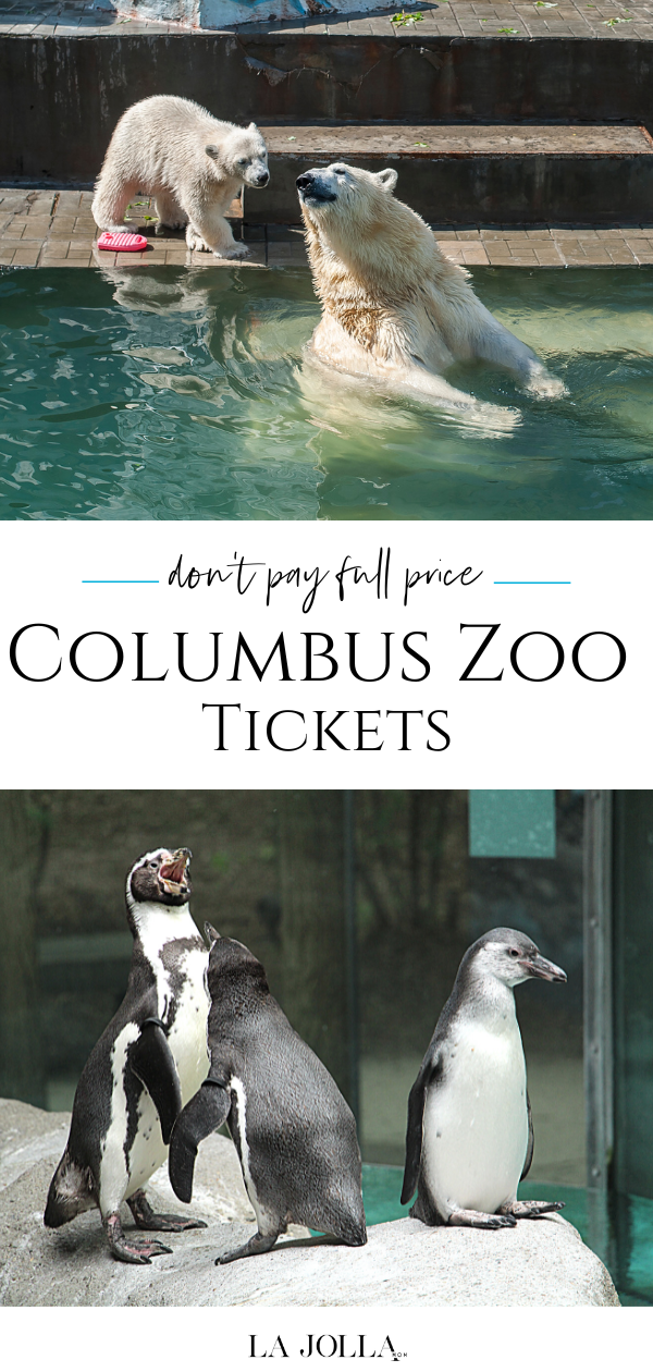 Discount Columbus Zoo Tickets: 12 Cheap Ways To Save - La Jolla Mom