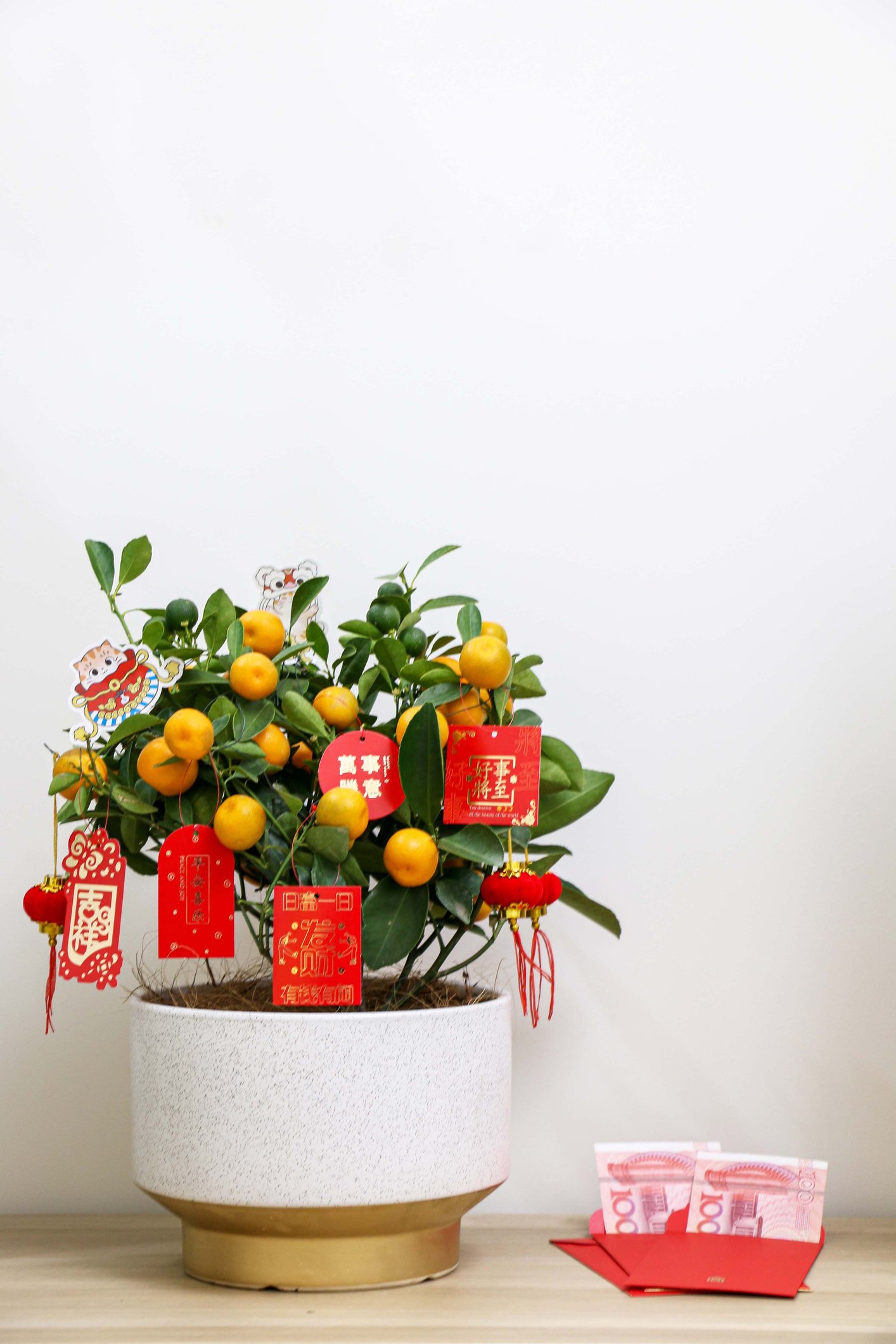 Small orange tree for Chinese New Year on a table next to some RMB in a red envelope.