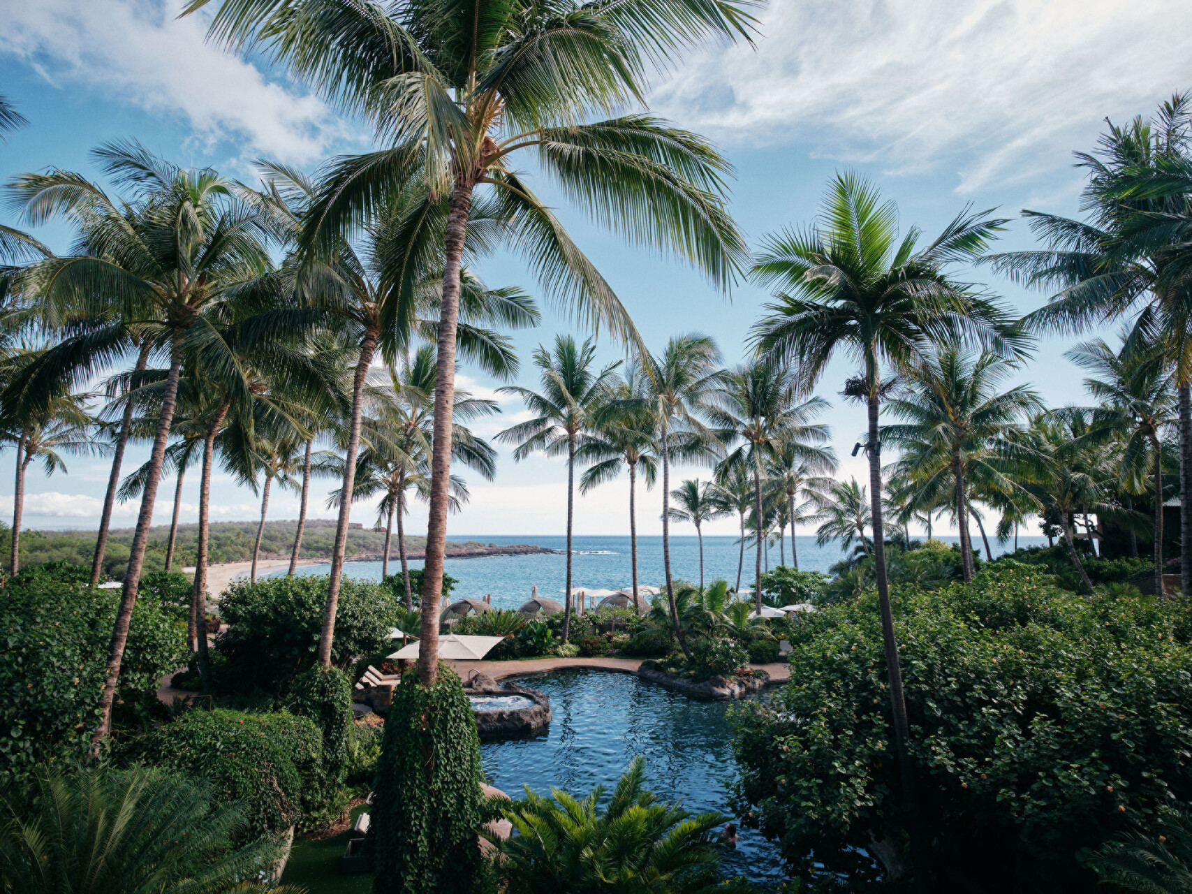 View of the pool and palm trees out to the beach at Four Seasons Lanai.
