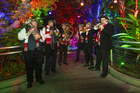 The Jungle Brass musicians dressed up and playing music for the holidays.