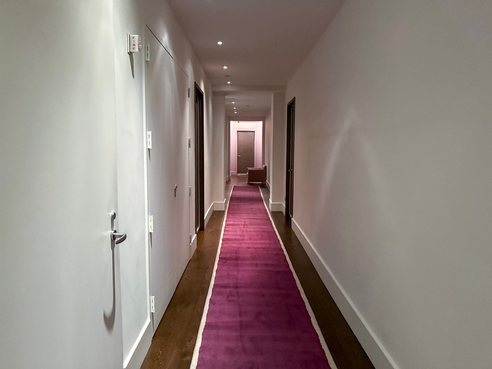 Sleek hallway with purple runner rug between rooms.
