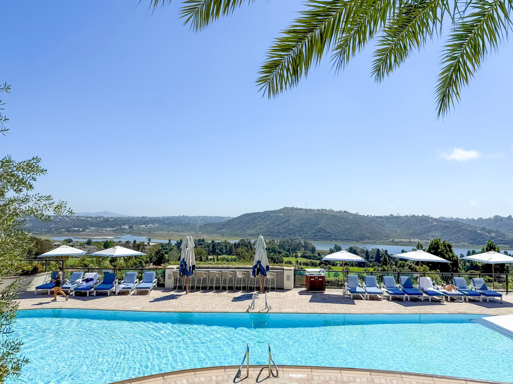 The adults only pool at Park Hyatt Aviara with lagoon in the background.