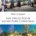 What to expect Jungle Bells and Wild Holidays with verified 2025-26 dates, must-see light shows, and parking info for the San Diego Zoo & Safari Park.