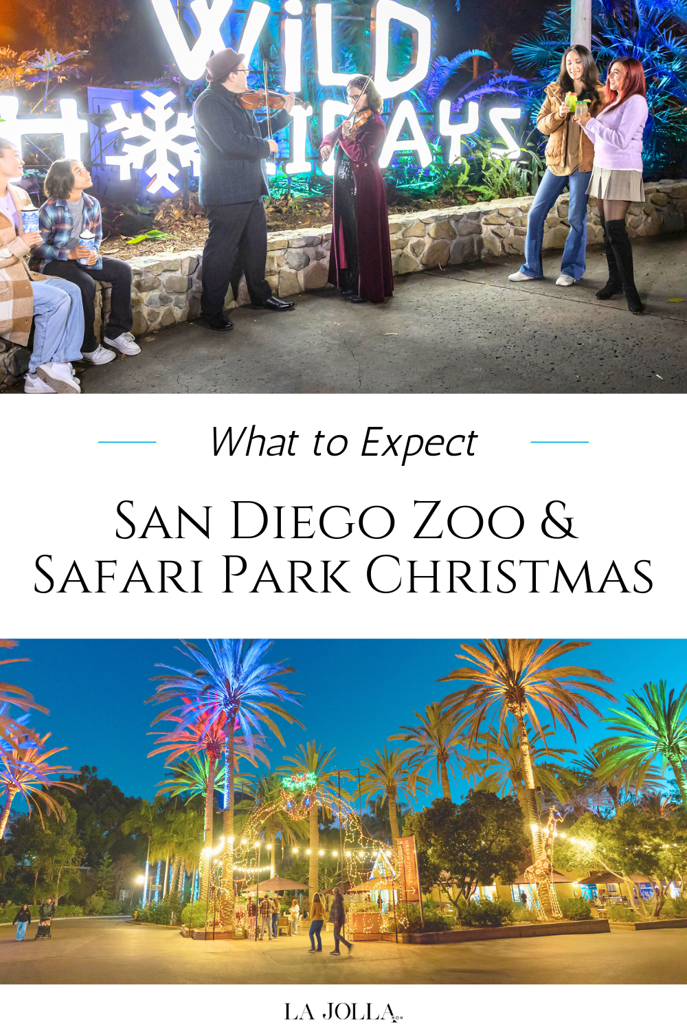 What to expect Jungle Bells and Wild Holidays with verified 2025-26 dates, must-see light shows, and parking info for the San Diego Zoo & Safari Park.