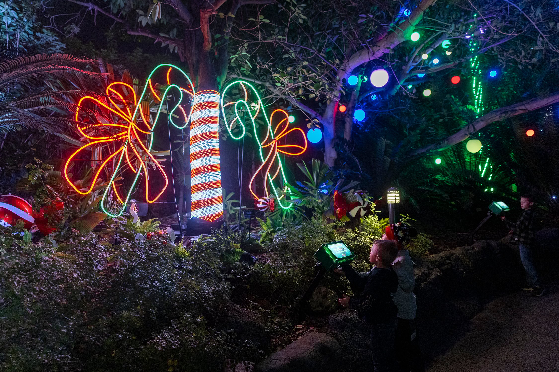 Two kids look at the San Diego Zoo Christmas lights.