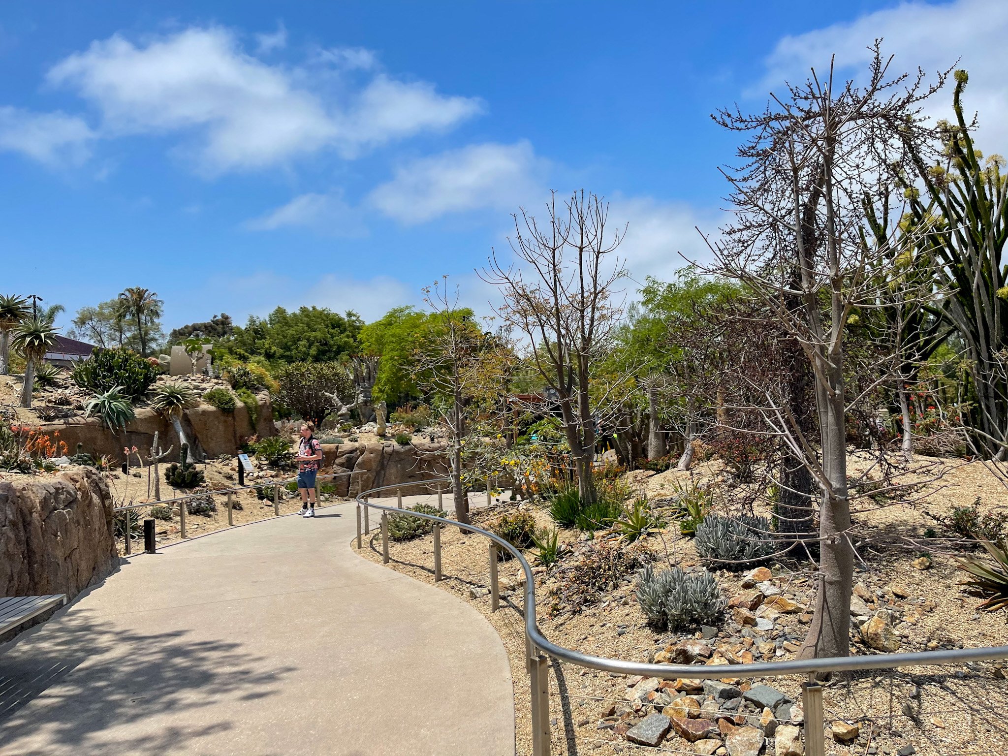 Africa Rocks at San Diego Zoo after June Gloom burns off.