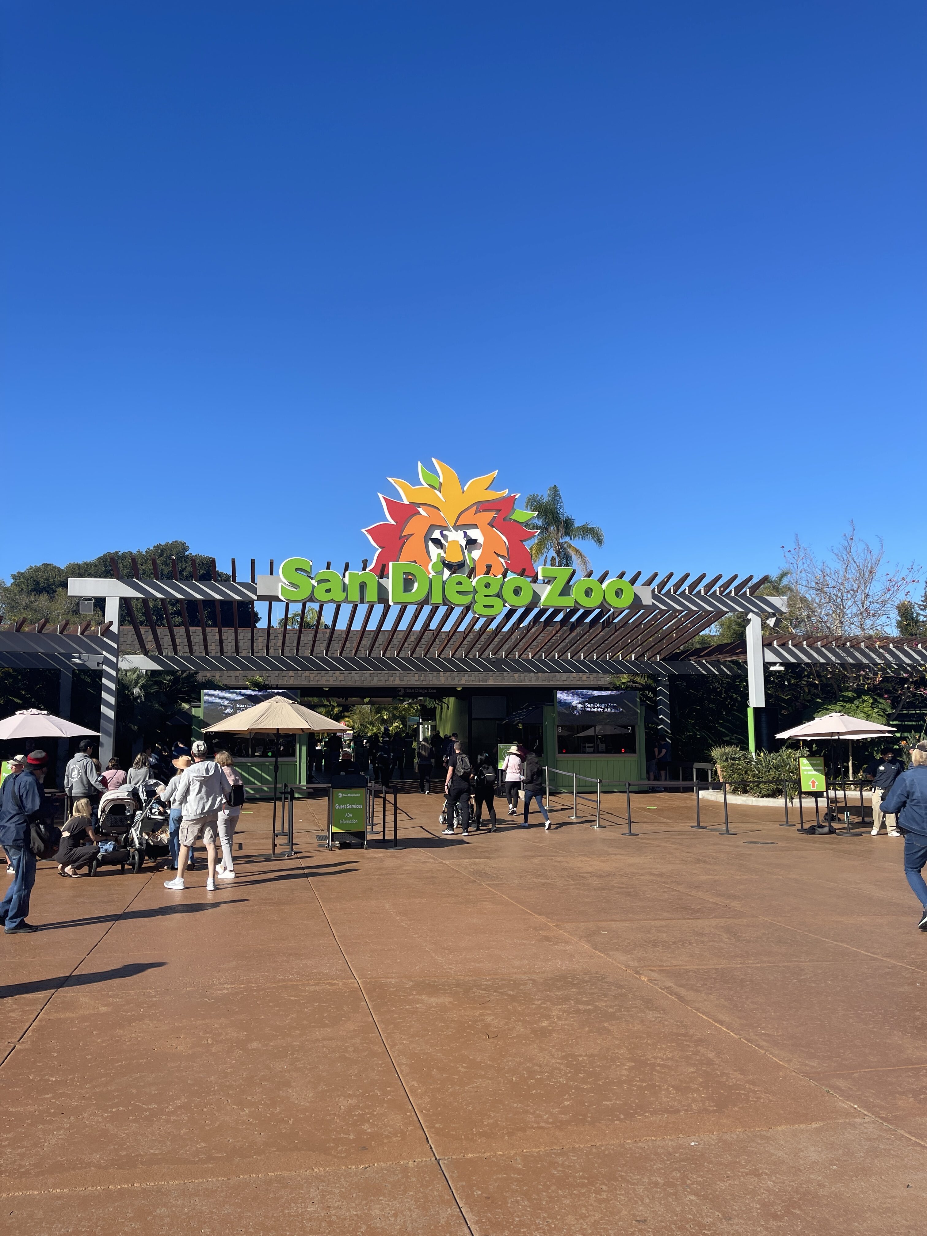 Bright blue skies on a February day at San Diego Zoo. People are wearing layers.