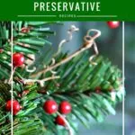These DIY Christmas tree preservative recipes will keep your tree looking fresh throughout the holiday season.