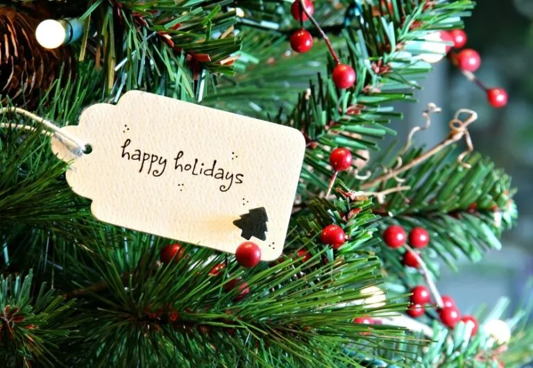 These DIY Christmas tree preservative recipes will keep your tree looking fresh throughout the holiday season.