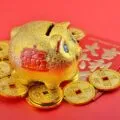 Learn why Year of the Golden Pig is one of the most auspicious in the Chinese zodiac