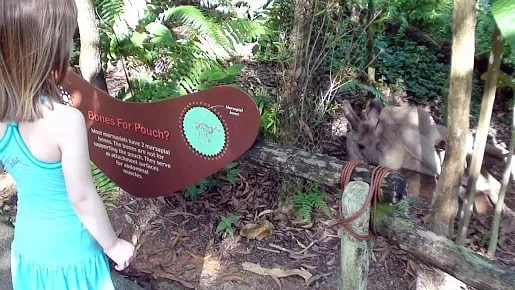 Singapore Zoo with kids