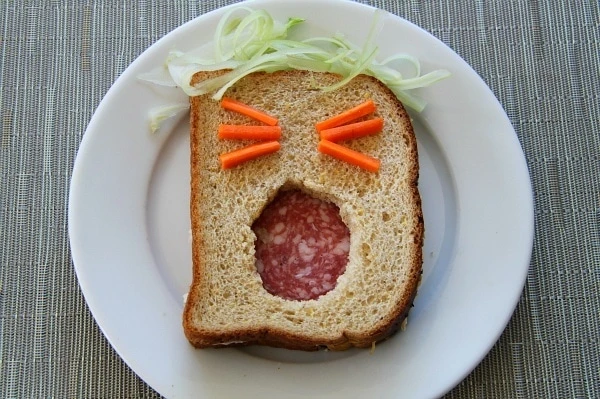 Kids Lunches Tired Sandwich