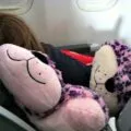 Pillow Pets Flying With Kids