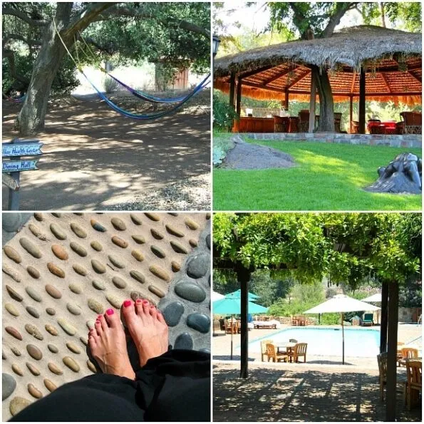 Rancho La Puerta Spa Tecate Mexico