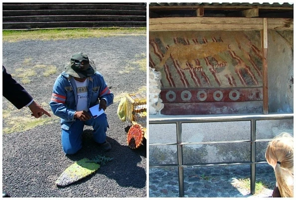 Cochineal Red Cactus Dye Teotihuacan