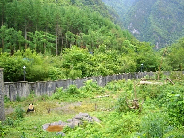 Wolong Nature Reserve Sichaun Mountains