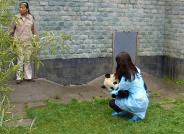 Wolong Panda Reserve