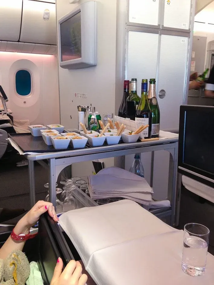 Japan airlines Dreamliner from San Diego to Tokyo Narita