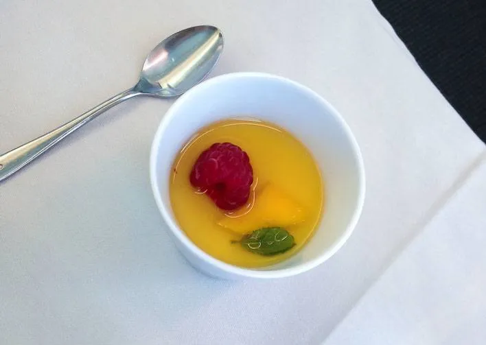 Japan Airlines Dreamliner from San Diego to Tokyo Narita