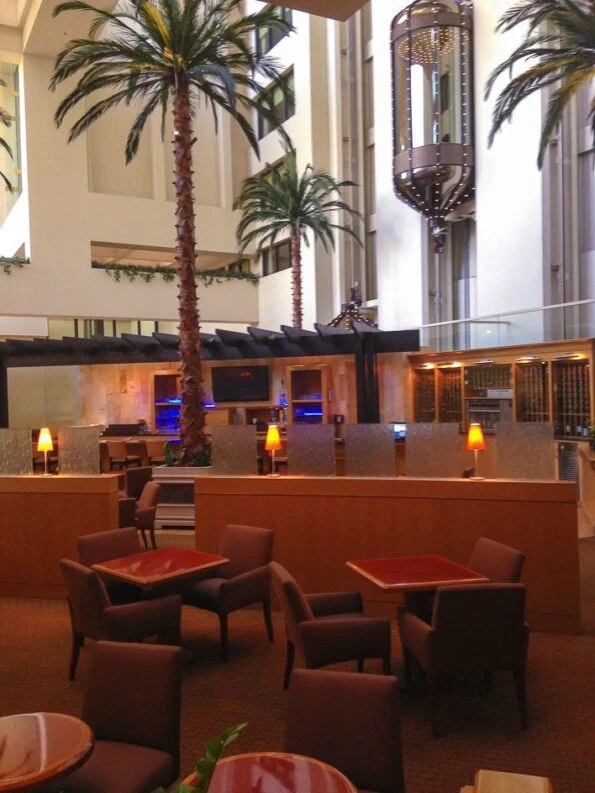 Hilton Orange County/Costa Mesa glass elevators