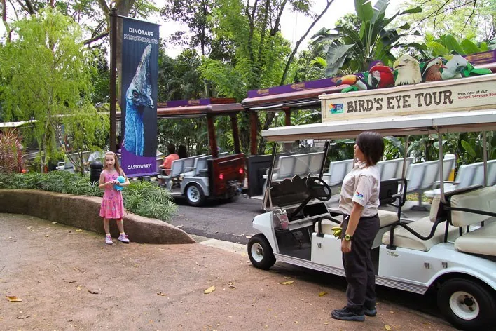 Singapore with Kids- Jurong Bird Park Feeding Frenzy Tour
