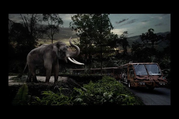 Singapore with kids at the Night Safari