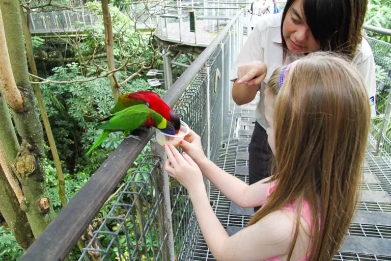 The Jurong Bird Park is a must-see attraction in Singapore with kids