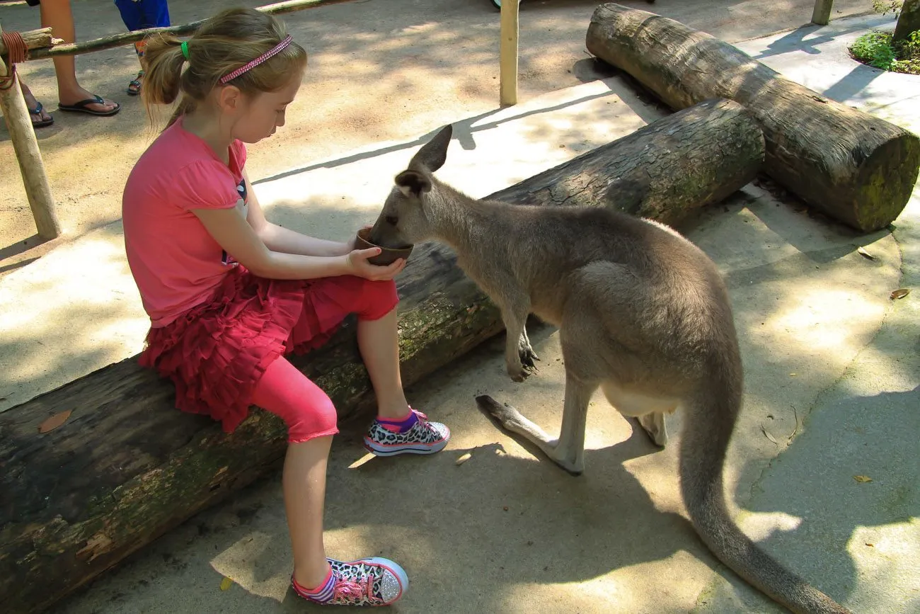 The Singapore Zoo is a must-see attraction