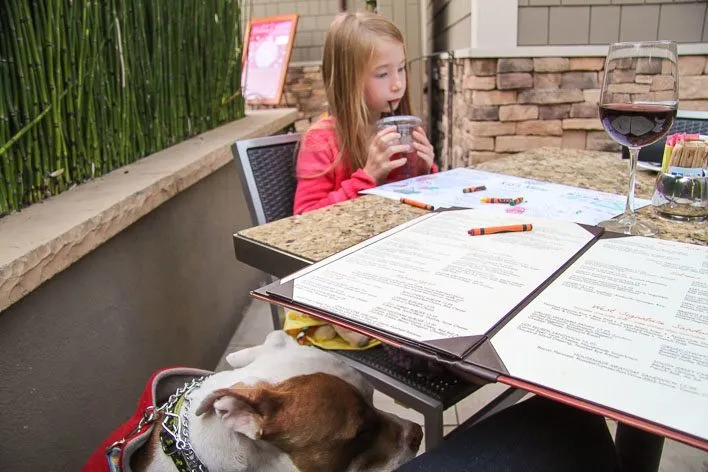 Bistro West Pet Friendly Restaurant Carlsbad