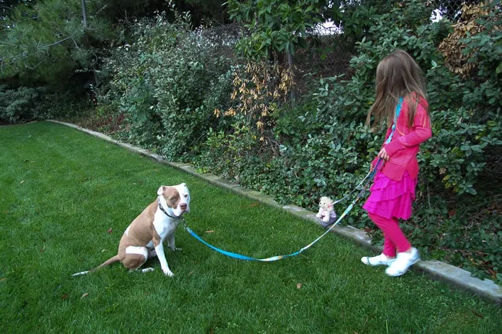West Inn and Suites Carlsbad Hotel Dog Run
