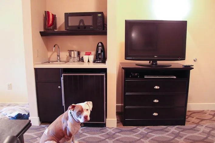 West Inn and Suites Carlsbad Hotel Dogs